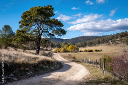 Winding country road rural landscape