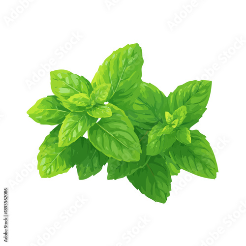 Peppermint, rendered in a minimalist 2D flat vector icon style against a pure white backdrop