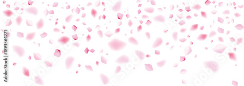 romantic pink flower petals valentine day scatter love party border  decoration