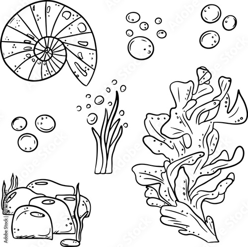 Hand drawn marine elements vector set featuring seaweed, coral, shells, bubbles and underwater stones. Minimalist black line doodle illustrations isolated on white background. Clean contour line art i