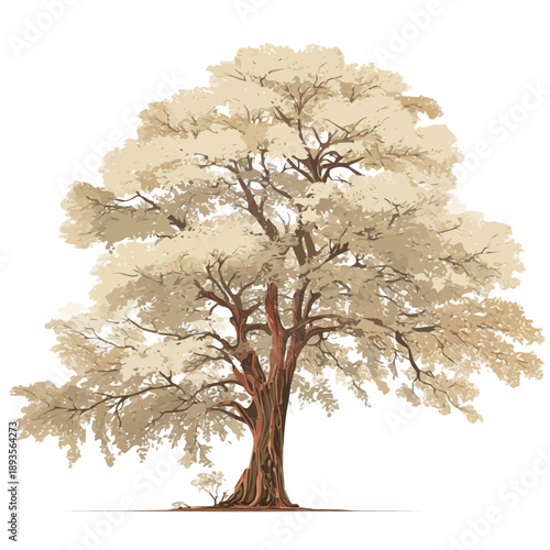 Kapok Tree, rendered in a minimalist 2D flat vector icon style against a pure white backdrop