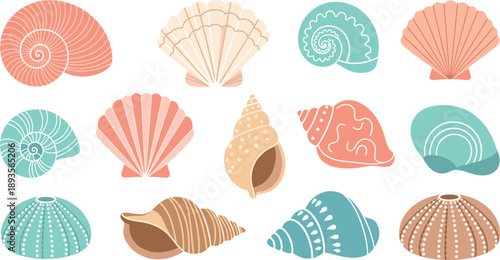Decorative Sea Shell Illustration Set with Spiral, Scallop, Conch, and Nautical Ocean Elements for Beach, Coastal, Summer, and Marine Design