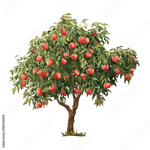 Φωτογραφία Minimalist 2D vector icon representation of a Peach Tree, displayed on a pure wh