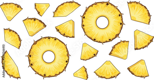 Fresh Pineapple Slice Illustration Set with Whole Rings and Cut Pieces for Food Packaging, Healthy Nutrition Design, Recipes, and Tropical Branding