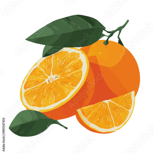 Simple flat 2D vector graphic of a Bitter Orange in modern icon style, isolated on a white canvas