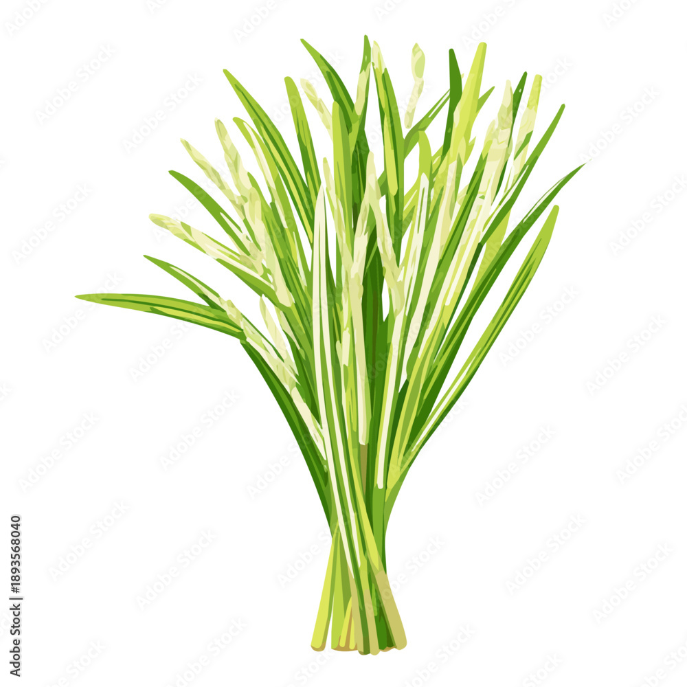 Fototapeta premium Minimalist 2D vector icon representation of a Lemongrass, displayed on a pure white background