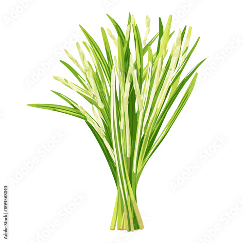 Minimalist 2D vector icon representation of a Lemongrass, displayed on a pure white background