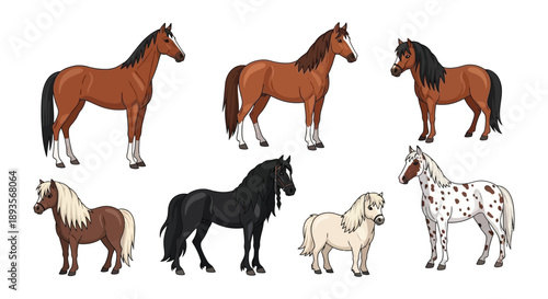 Collection of cartoon horses in various colors and poses