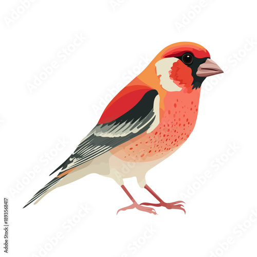Minimalist 2D vector icon representation of a Finch, displayed on a pure white background