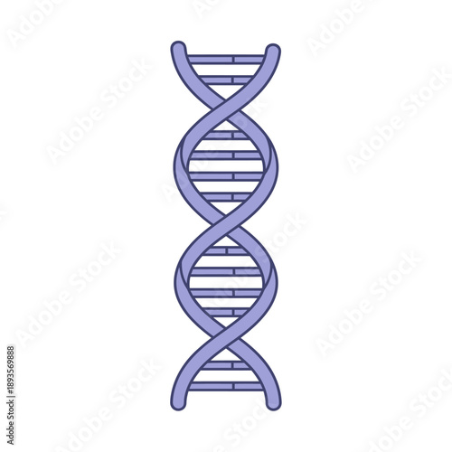 A DNA double helix structure illustrating the fundamental principles of science and genetic code