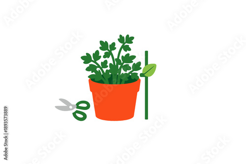 Gardening activity involving a green plant in a pot with scissors and stakes on a white background in a home gardening setting