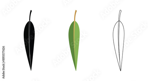 Set of eucalyptus leaf icons in black silhouette, green filled, and outline styles