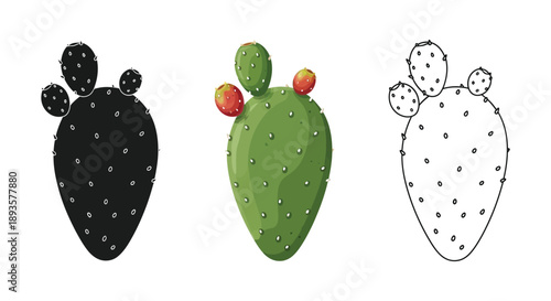 Set of three prickly pear cactus paddle illustrations in silhouette, color, and outline styles