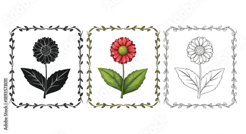 Set of three stylized flower illustrations in decorative square frames in silhouette, color, and outline styles