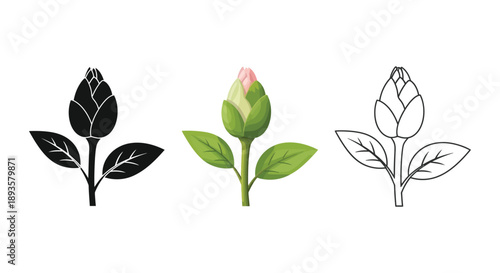 Set of three rose bud illustrations in black silhouette, realistic color, and outline styles