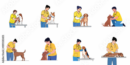 Vector set of professional veterinarians giving routine check-ups, medical examinations, and treatment to various dogs in a pet hospital environment.
