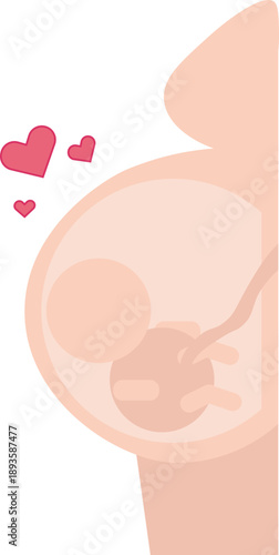 Vector illustration of a pregnant woman's silhouette showing a stylized fetus in the womb with an umbilical cord. It features a side profile of a baby bump with floating pink hearts.