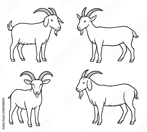 4 goat outline icons for coloring