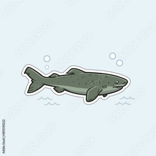 Cute Greenland Shark Illustration