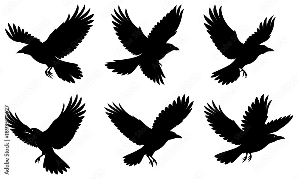 Fototapeta premium Silhouettes of birds in flight showcasing different wing positions and angles