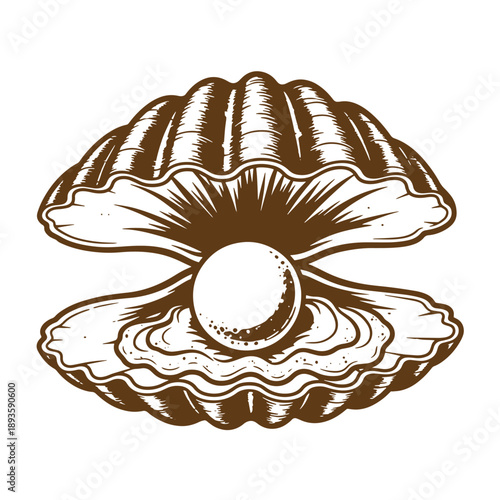 Vintage Grunge texture Illustration of an open oyster shell with a pearl inside  seafood symbol