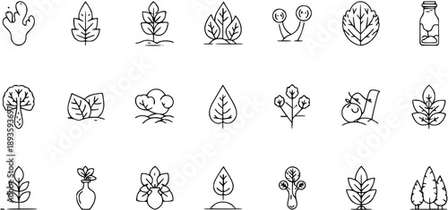 Nature and Botanical Line Icons Set: Plants, Leaves, Trees, Agriculture  Organic Food Outline Vectors