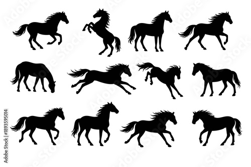 Black horse silhouette collection with running, standing, rearing, jumping and grazing poses, isolated on white. Equine set for ranch, mustang, sport, western, racing and logo design.