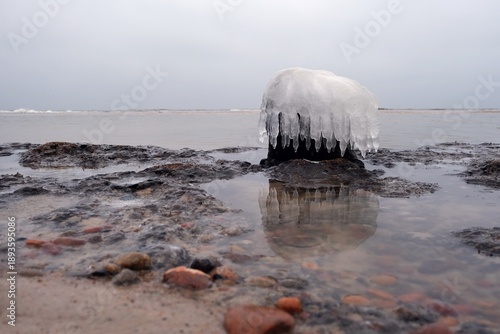 Wallpaper Mural Flooded forest with trunks of ancient trees (3000 years old) covered with ice and  icicles on the beach near Czolpino, Baltic Sea, Slowinski National Park, West Pomeranian Voivodeship, Poland. Torontodigital.ca