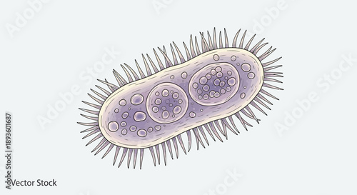 Detailed Microscopic View of Bacterium Cell with Cilia, Scientific Microbiology Illustration in Bright Studio.