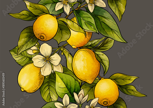 Wallpaper Mural Lemons and blossoms seamless pattern. Decorative botanical design with citrus fruit, branches, leaves, flowers for vintage textile, wallpaper, kitchen, and culinary themes.  Torontodigital.ca