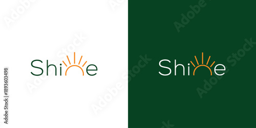 Modern and professional shine logo design