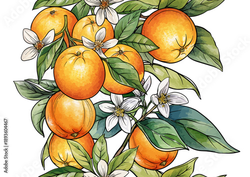 Wallpaper Mural Oranges and citrus blossoms seamless botanical pattern. Hand-drawn fruit, branches, leaves, and natural flowers for vintage textile, wallpaper, kitchen, and food design. Classic motif. Torontodigital.ca