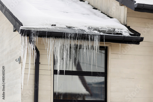 Icicles  Ice Dams from Roof Gutter of House Home are Dangerous. Large Huge Icicles as Poor Insulation and Heat Loss. 