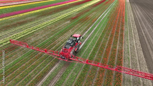 Agricultural crops sprayer spraying pesticide or fertilizer on a field of tulips during springtime aerial footage.