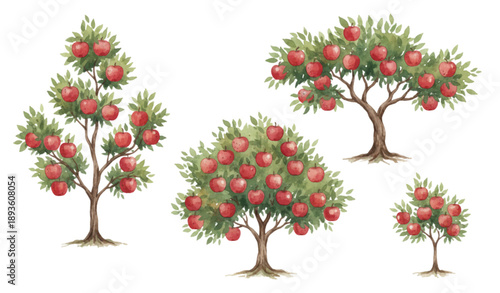 Watercolor Apple Trees with Ripe Red Apples Vector Orchard Set