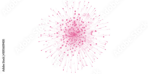 Fotografija A vibrant pink firework explodes with radiant beauty filling the night sky with