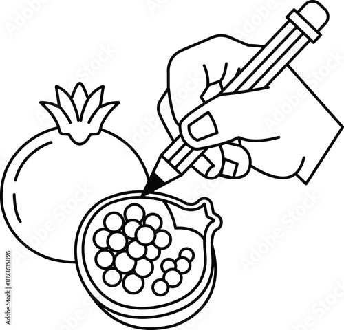 A hand is drawing a pomegranate with a pencil