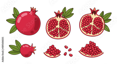 Various stylized illustrations depict whole cut and separated seeds of a ripe red pomegranate fruit