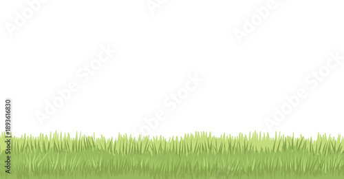 Green young grass, vector cartoon illustration. Grass border. Lawn, grass.