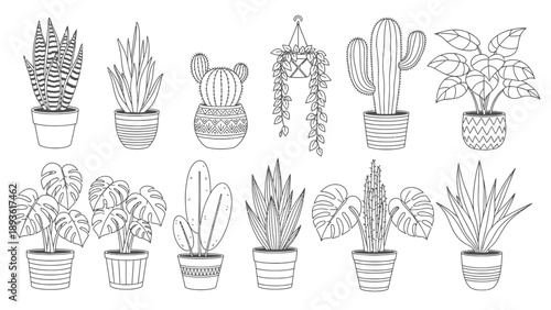 Collection of various potted houseplants and succulents illustrated in a simple black and white line art style