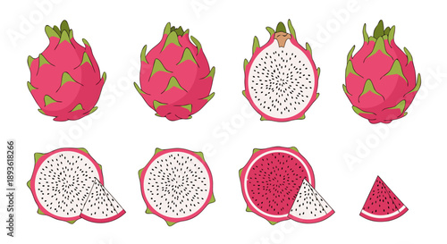 Assortment of vibrant pink dragon fruit illustrations showing whole and sliced varieties clearly