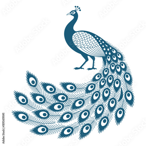 Elegant Peacock Decorative Nature Illustration