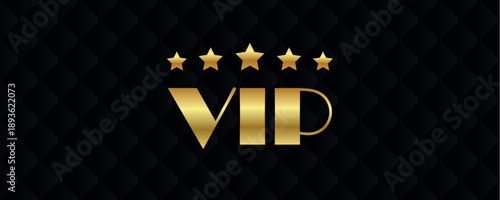 vip golden text on dark luxury background vector illustration