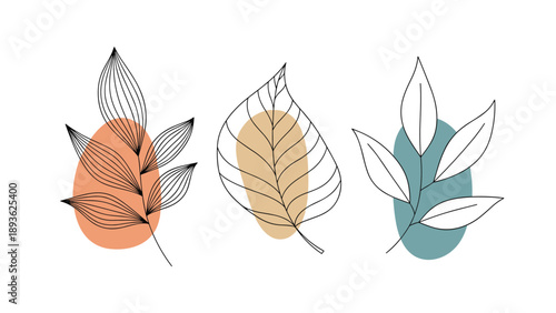 Set of three stylized botanical branches with delicate line work leaves placed over colorful abstract background shapes in warm earthy color tones.