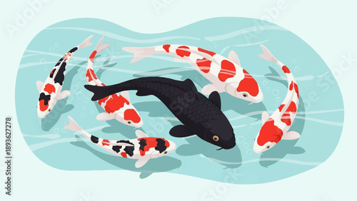 A school of colorful koi fish swimming in a bright blue pond with ripples