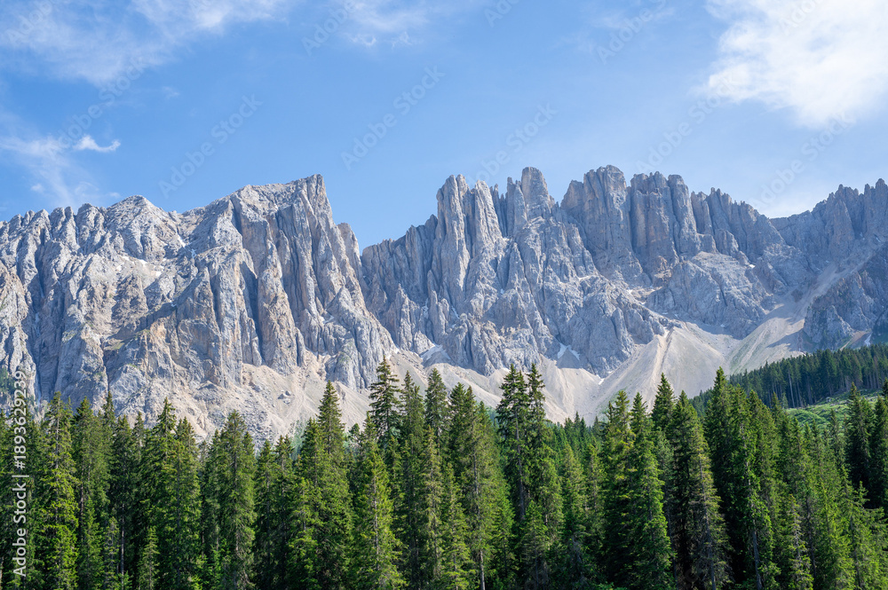 Fototapeta premium Stunning jagged Dolomites mountain peaks rising above lush green pine forest under bright blue summer sky in South Tyrol Italy perfect for travel nature landscape adventure photography wall art themes