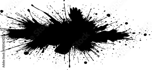 Ink Splatter Abstract: Bold black ink explodes across the canvas, creating a dynamic and edgy abstract shape, offering a versatile artistic element.