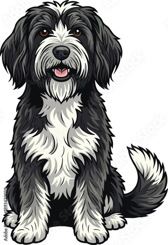 Schapendoes dog sitting relaxed attentive facing front 