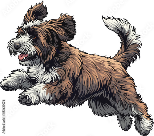 Schapendoes dog jumping playful energetic movement illustration