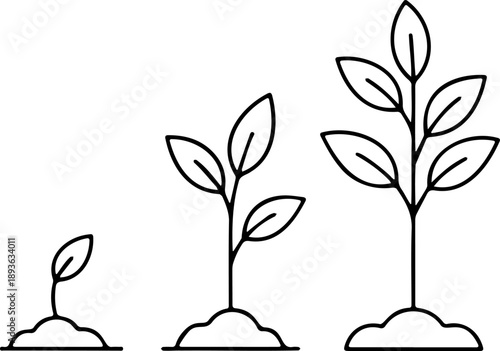 Plant Growth Stages Line Art - Simple Seedling to Mature Plant Vector Outline for Gardening and Education